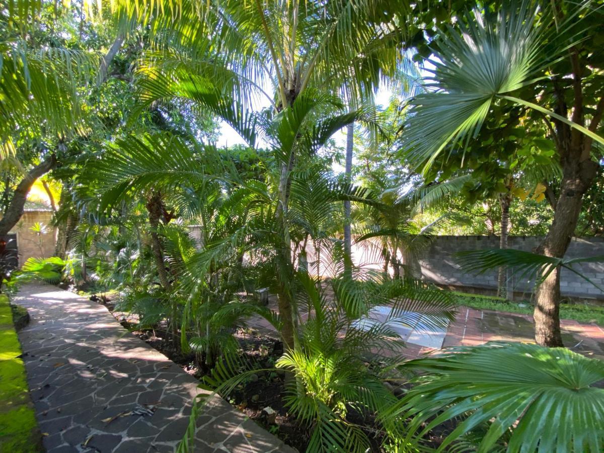 Lote 44 Guesthouse El Zonte Luaran gambar